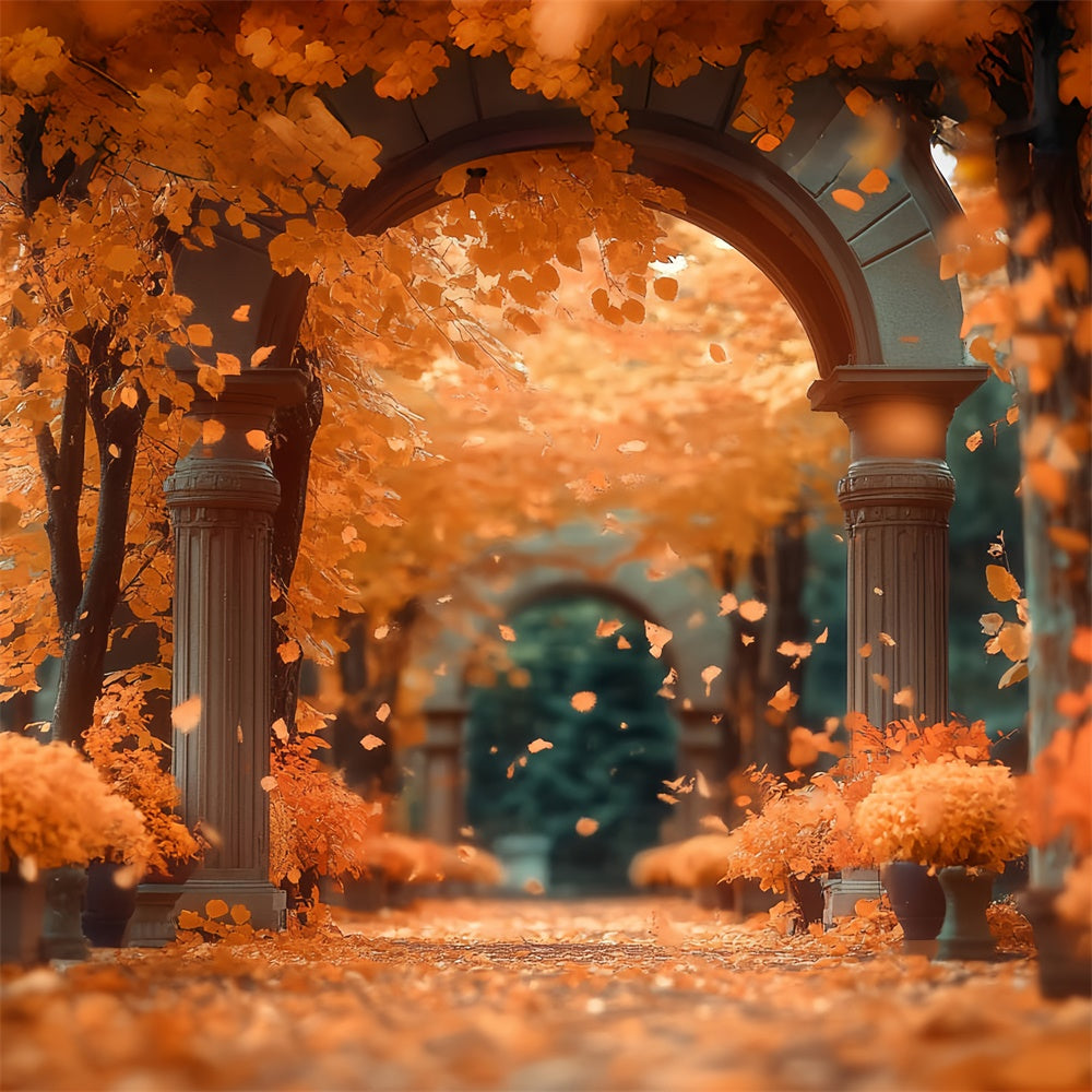 Herbst Wald Backdrop Sonnenuntergang Ahorn Passage Fotohintergrund CSH57-157