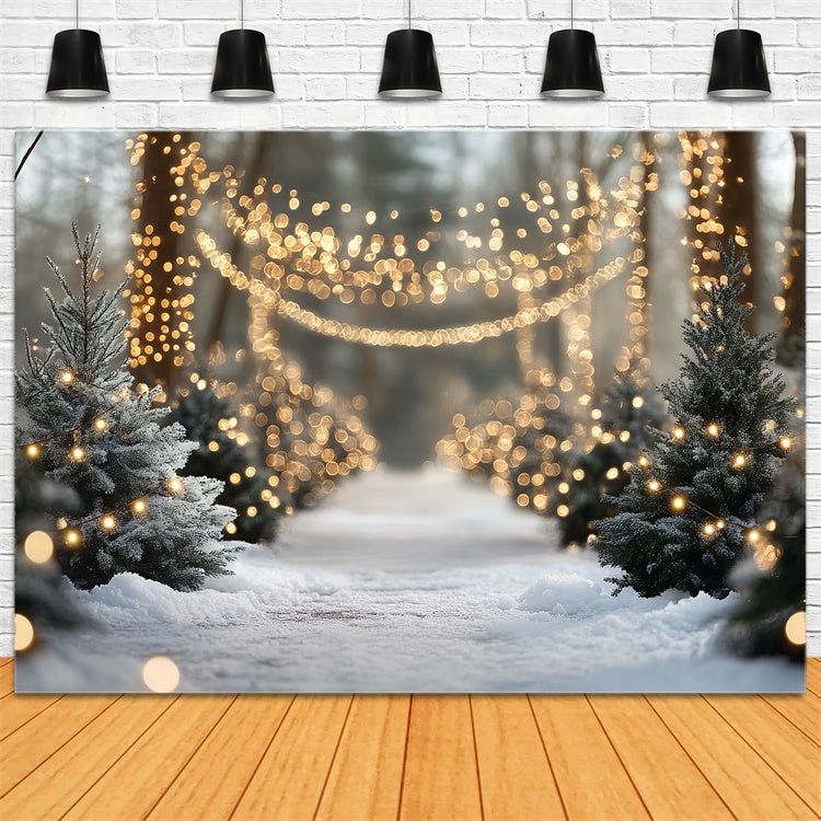Schnee Wald Backdrop Sparkle Winter Walk Fotohintergrund CSH57-169