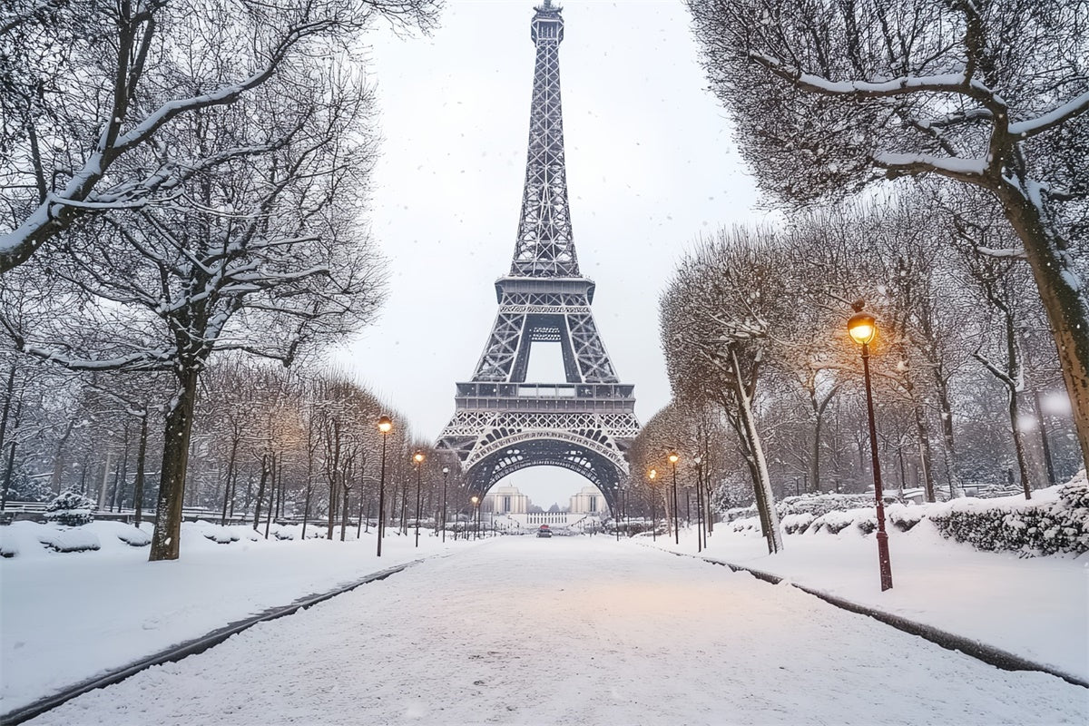 Winterszenen-Hintergrund Winter Eiffel Elegance Hintergrund CSH57-230