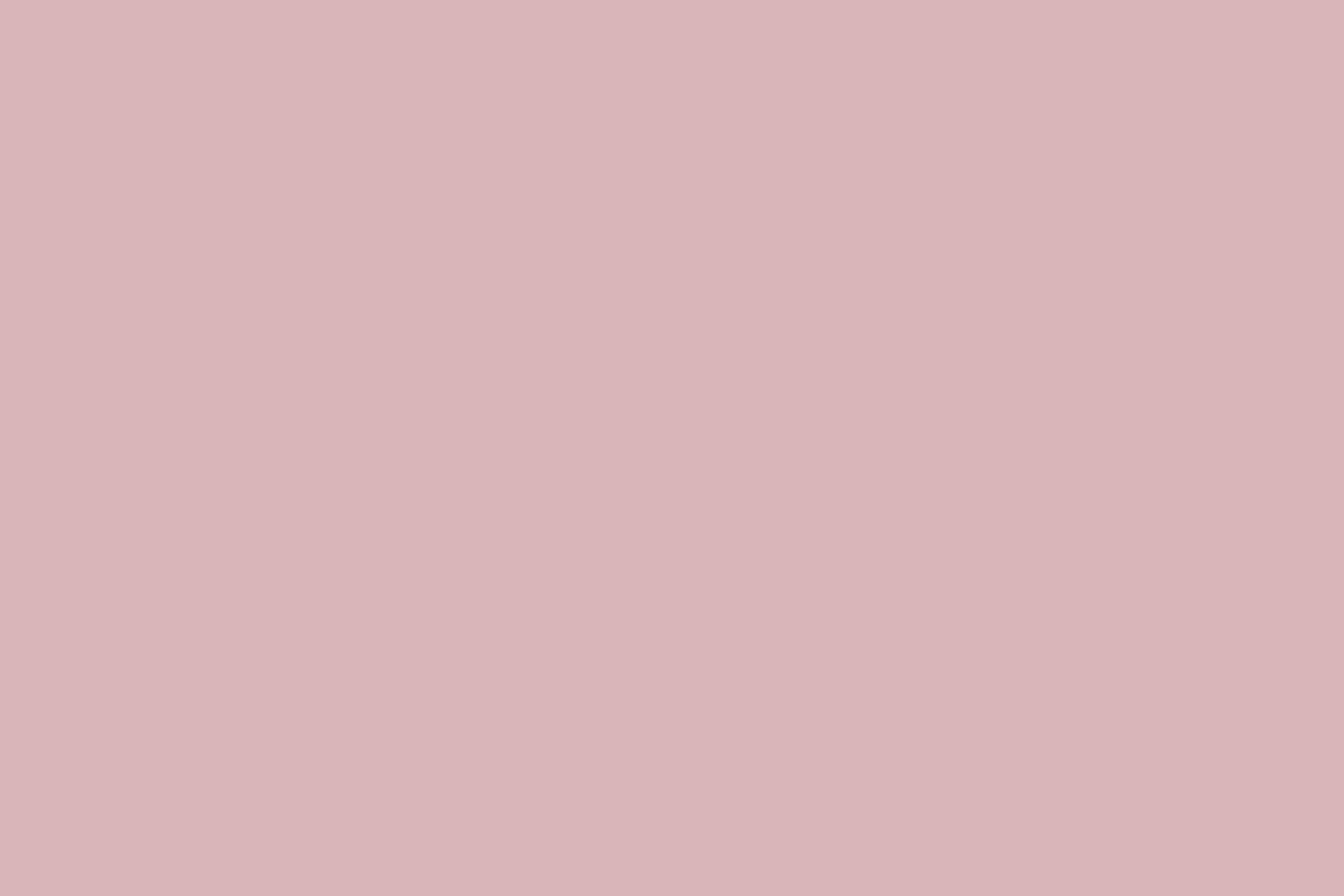 Rosa Fotohintergrund Ballet Pink Whisper Backdrop CSH57-314
