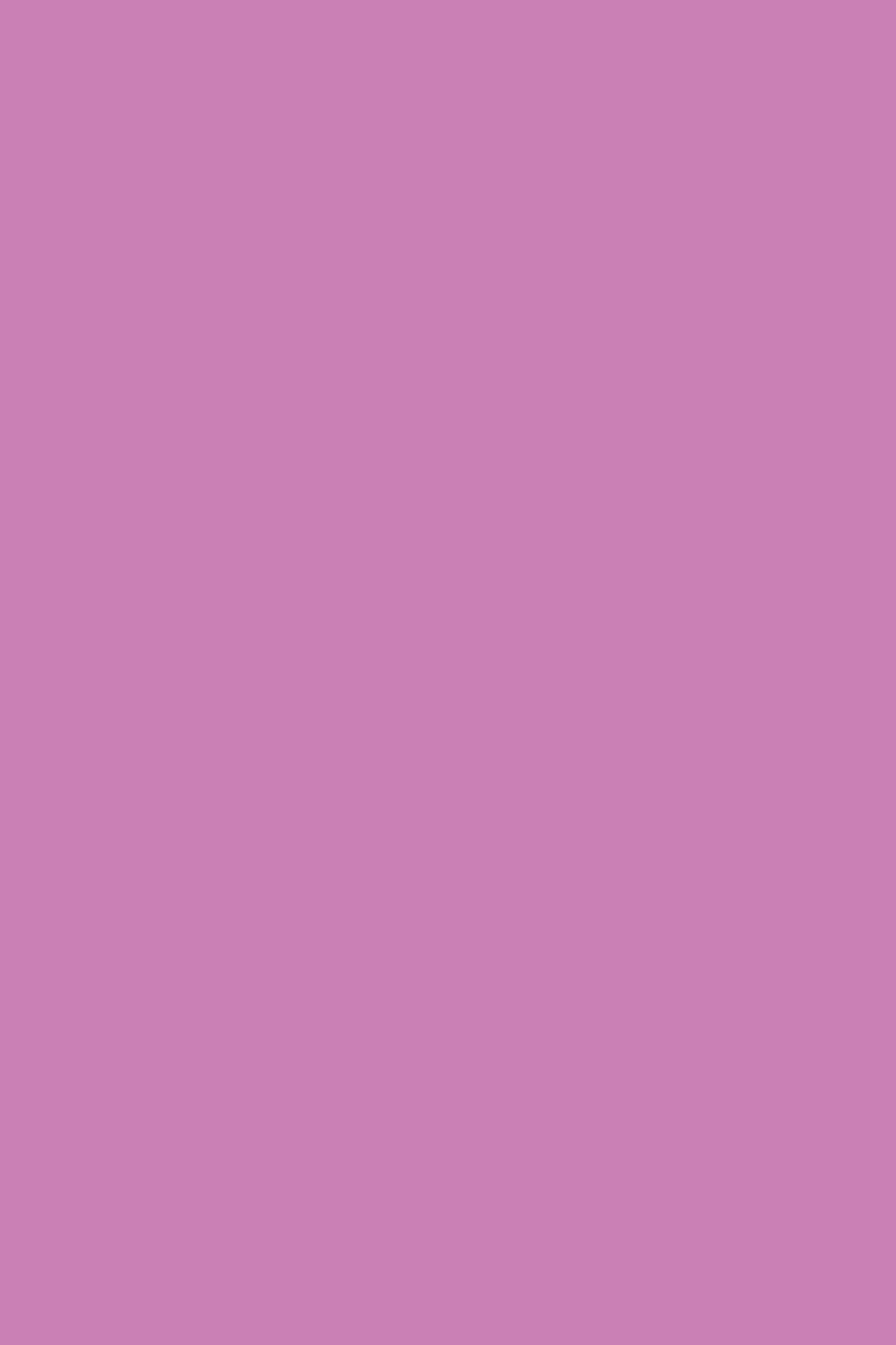 Lila Backdrop Misty Mauve Charm Foto Hintergrund CSH57-319
