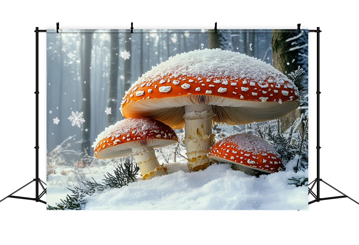 Natur Fotohintergrund Winter Märchen Schneefall Riesiger roter Pilz Winter Fotokulissen CSH58-43