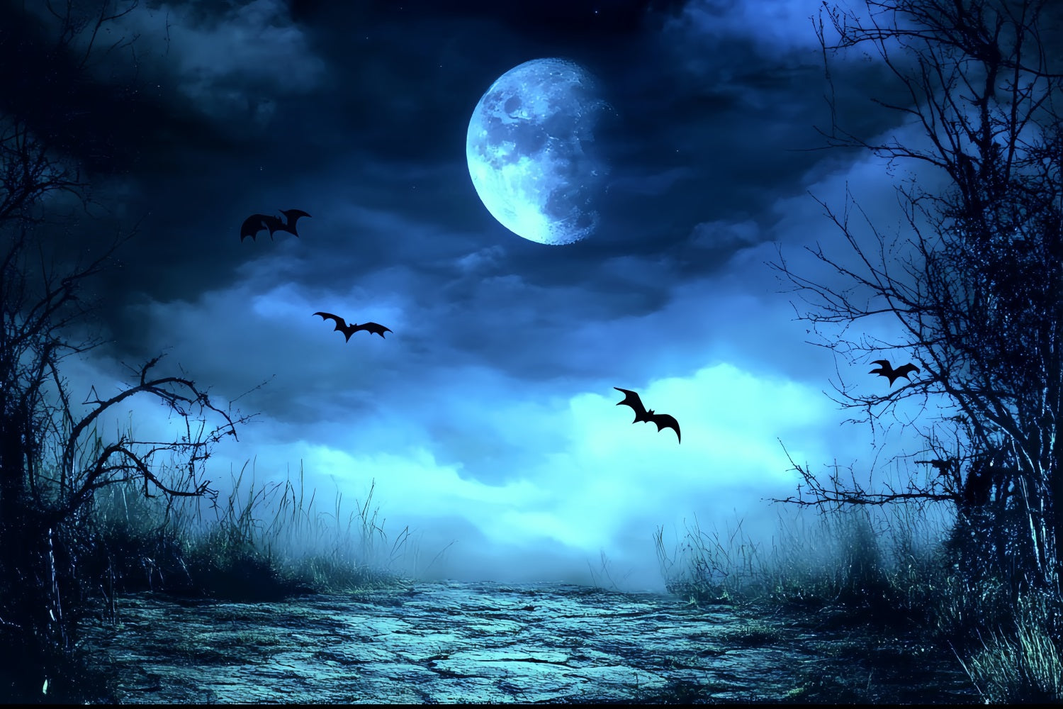 Nachthimmel Backdrop Blauer Nebel Gespenstischer Pfad Halloween Fotohintergrund CSH58-83