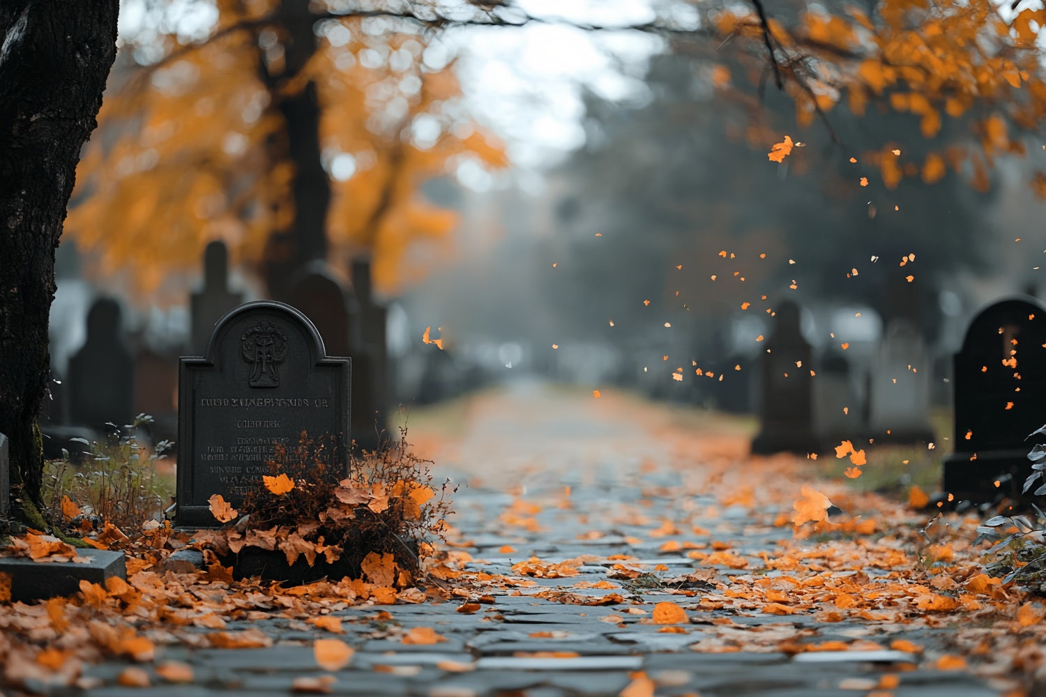 Friedhofs-Fotohintergrund Herbstblätter Grabweg Halloween-Fotohintergrund CSH58-91