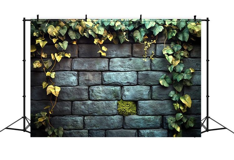 Halloween Wand Backdrop Efeu Garten Steinwand Backdrop CSH6-92