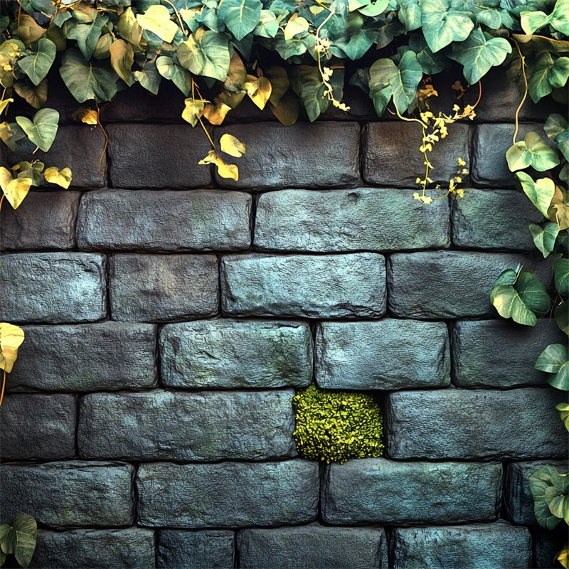 Halloween Wand Backdrop Efeu Garten Steinwand Backdrop CSH6-92