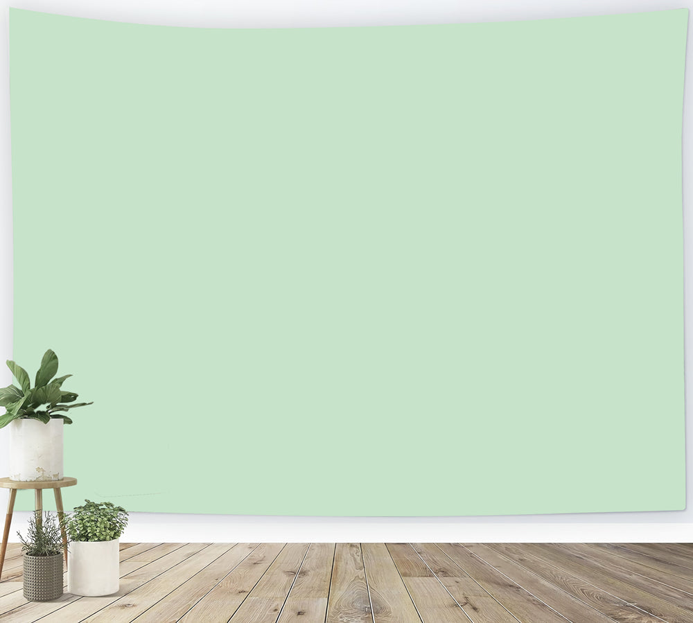 Grüner Fotohintergrund Zartes Mintgrün Sanfter Farbton Einfarbiger Hintergrund CSH62-10