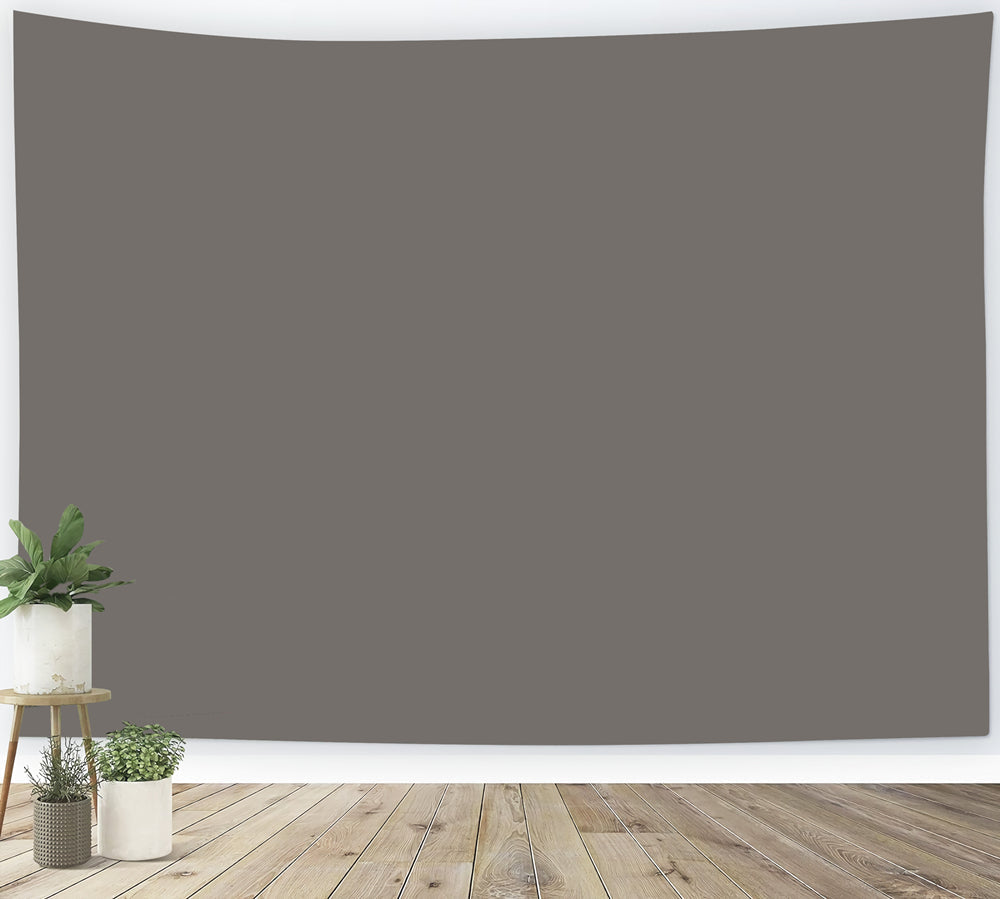 Grauer Hintergrund Tiefes Anthrazitglanz Glatte Oberfläche Einfarbiger Stoffhintergrund CSH62-14