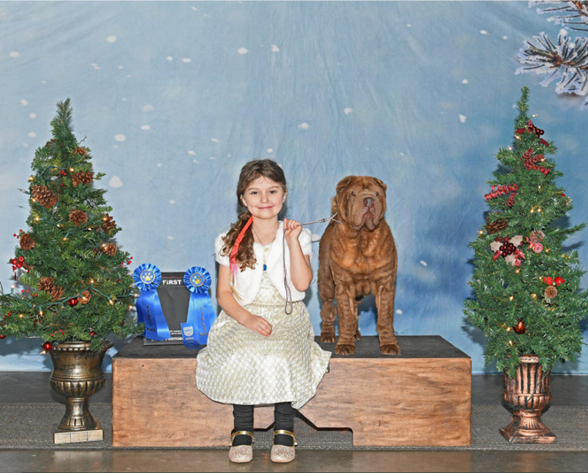 Schneeflocken Bokeh Weihnachtsbaum Foto Hintergrund DBD-19307