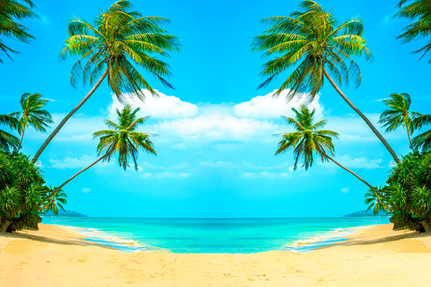 Sommer Strand Meer Kokosnussbaum Fotokabine Hintergrund GA-77