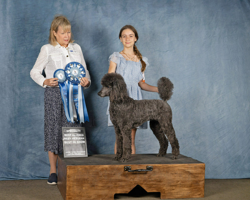 Blauer abstrakter Textur Porträt Fotografie Hintergrund GC-151