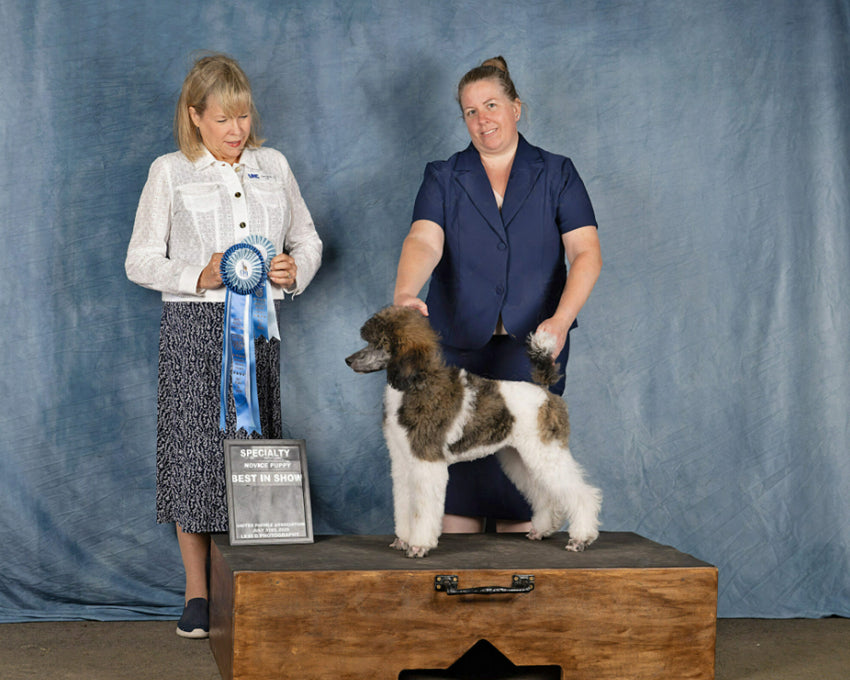 Blauer abstrakter Textur Porträt Fotografie Hintergrund GC-151