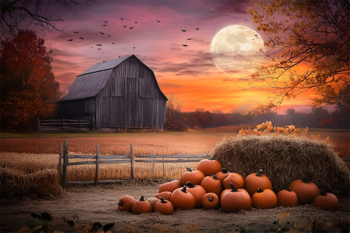 Sonnenuntergang Fotokulisse Dämmerung Scheune Szene Herbst Hintergründe GQ57-106