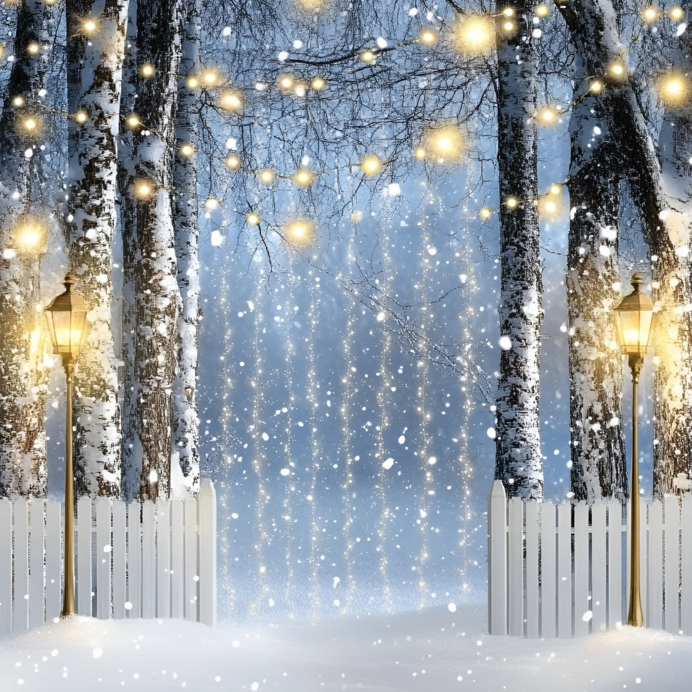 Winter Wald Backdrop Laterne Birkenweg Backdrop GQ57-150