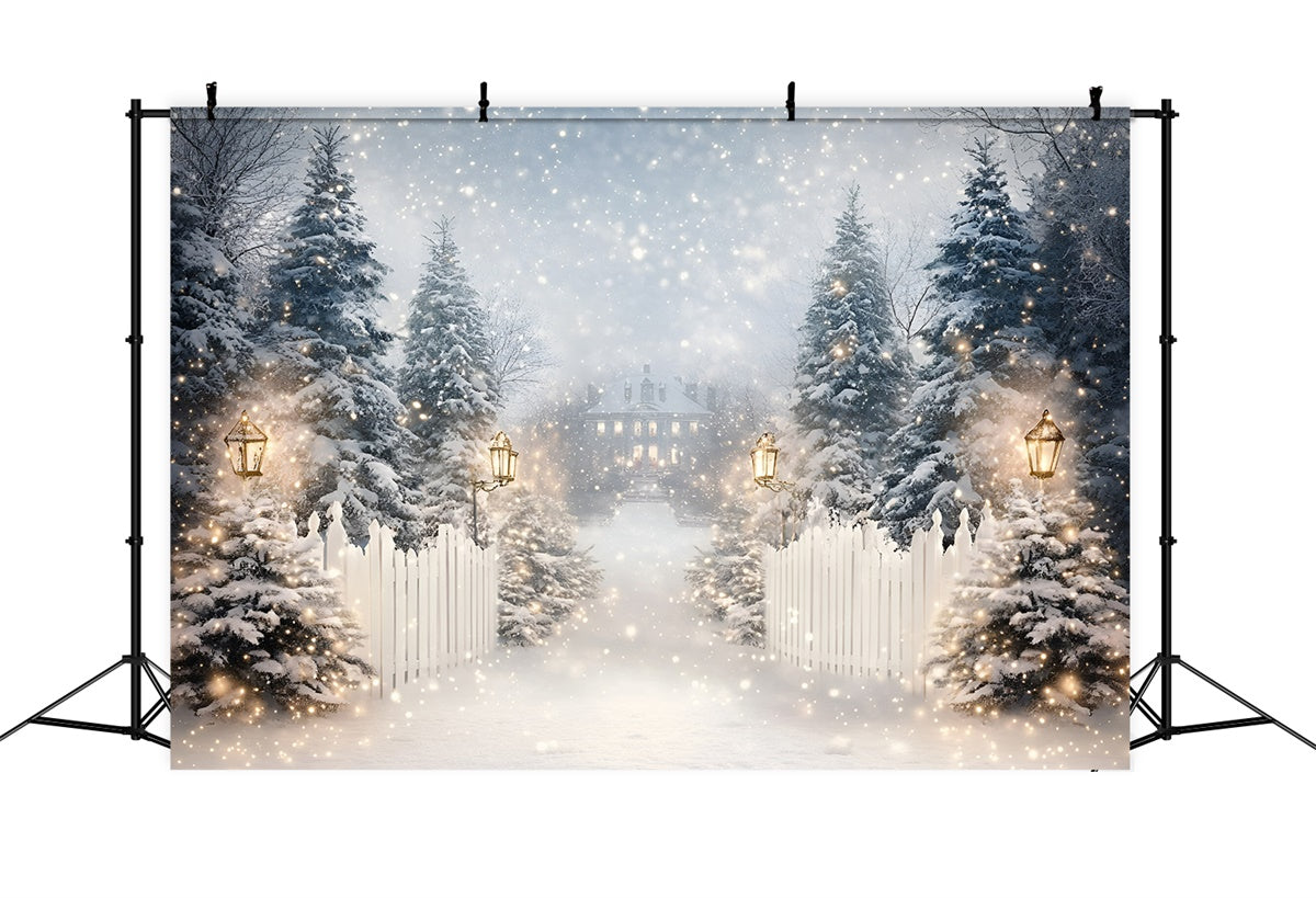 Winter Snow Backdrop Laterne Snow Trail Backdrop GQ57-152