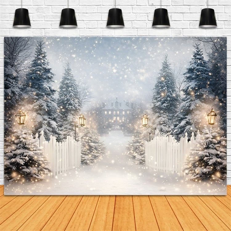 Winter Snow Backdrop Laterne Snow Trail Backdrop GQ57-152