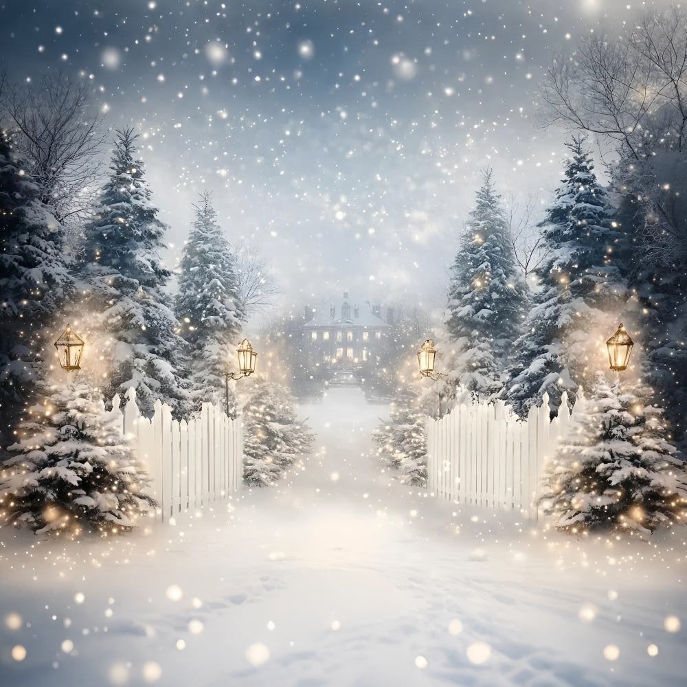 Winter Snow Backdrop Laterne Snow Trail Backdrop GQ57-152