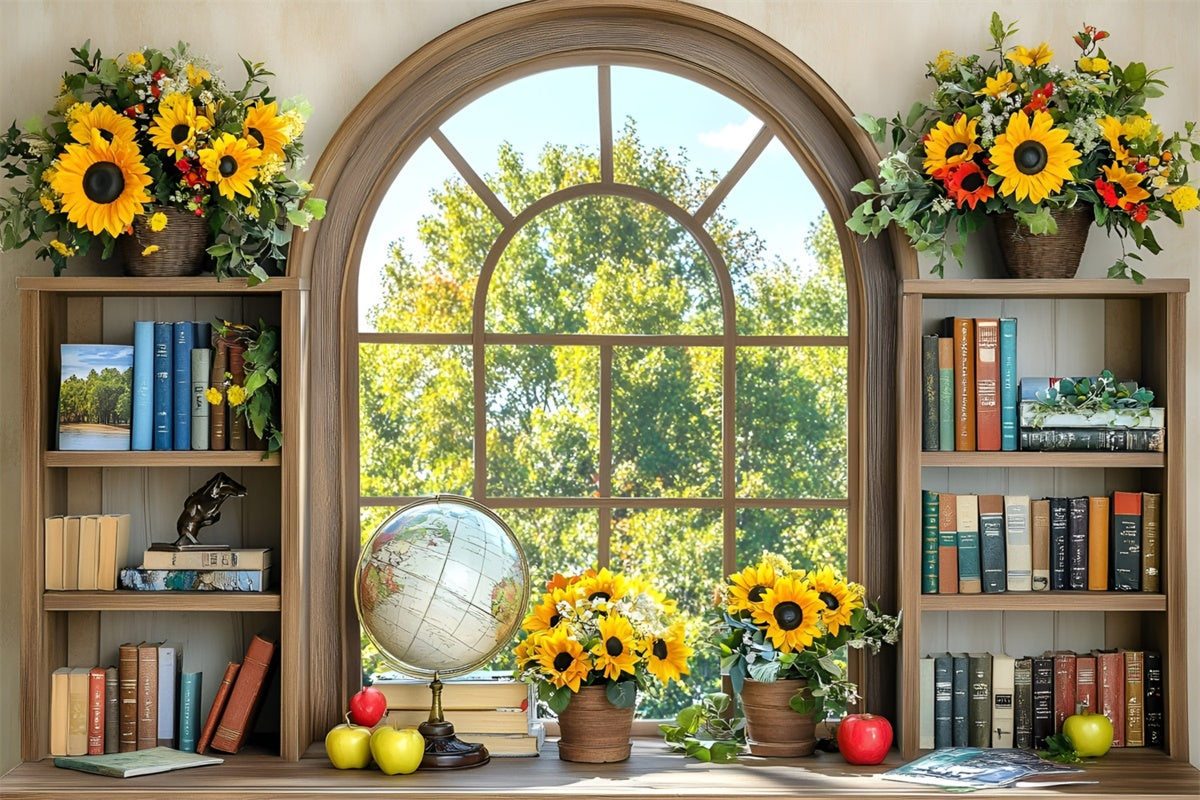 Back To School Fotohintergrund Sonniges Fenster Studierhintergrund GQ6-119