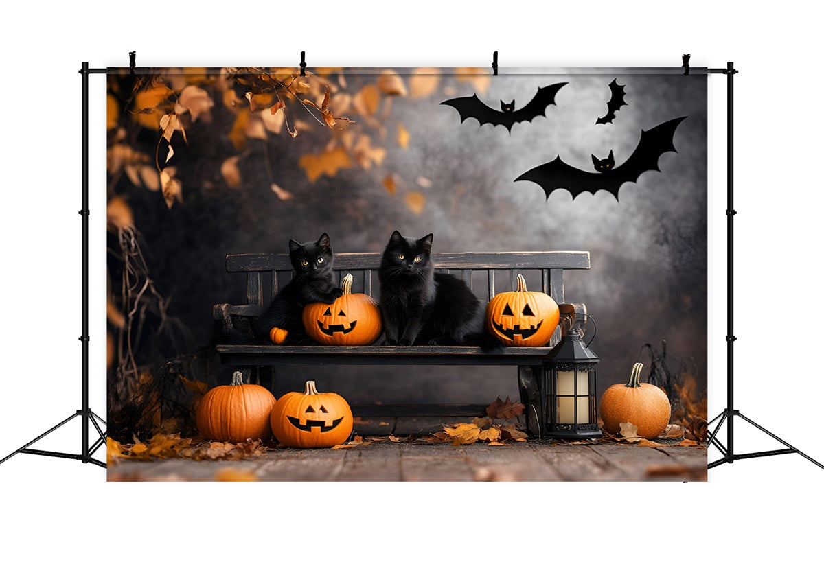 Gruselige Halloween-Hintergrundkulissen Schwarze Katze Kürbisbank-Hintergrundkulisse GQ6-234