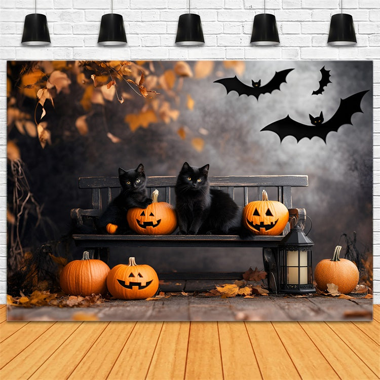 Gruselige Halloween-Hintergrundkulissen Schwarze Katze Kürbisbank-Hintergrundkulisse GQ6-234