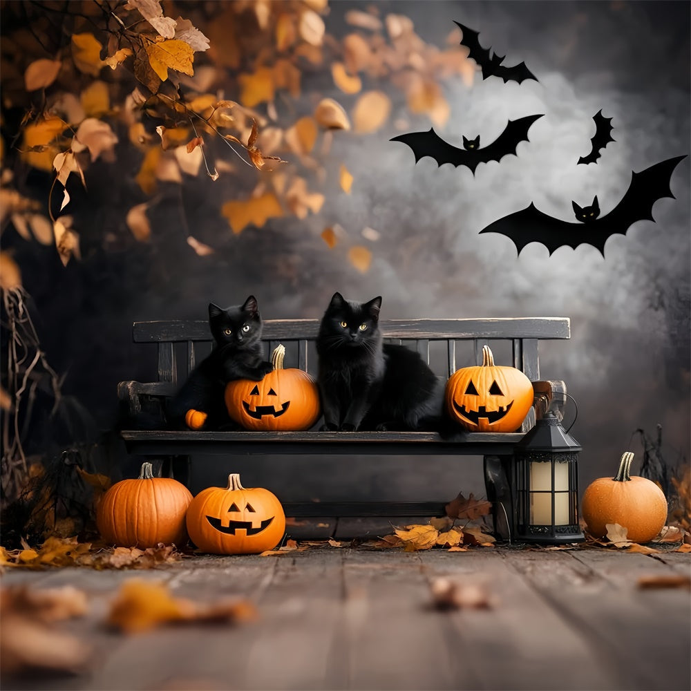 Gruselige Halloween-Hintergrundkulissen Schwarze Katze Kürbisbank-Hintergrundkulisse GQ6-234