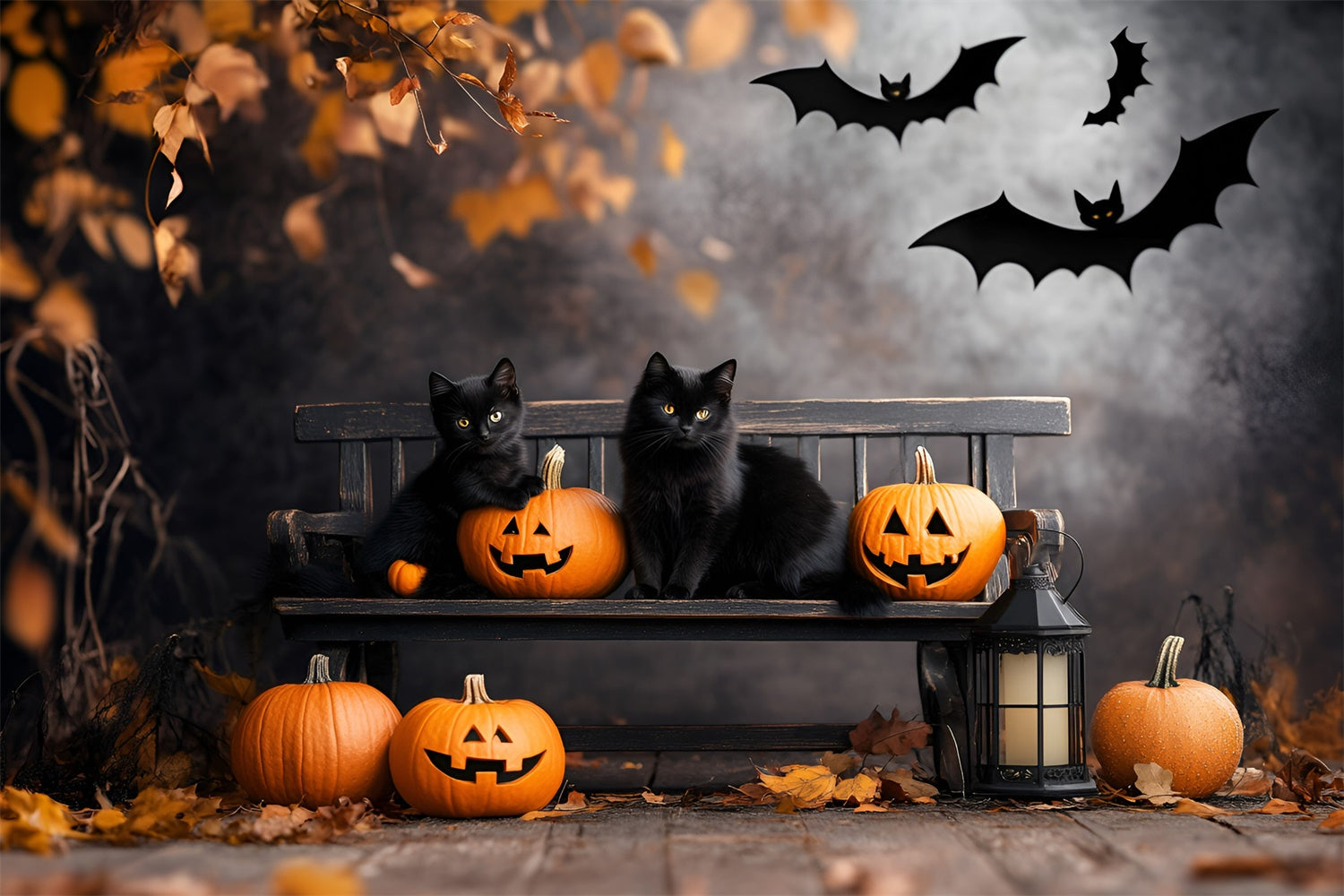 Gruselige Halloween-Hintergrundkulissen Schwarze Katze Kürbisbank-Hintergrundkulisse GQ6-234