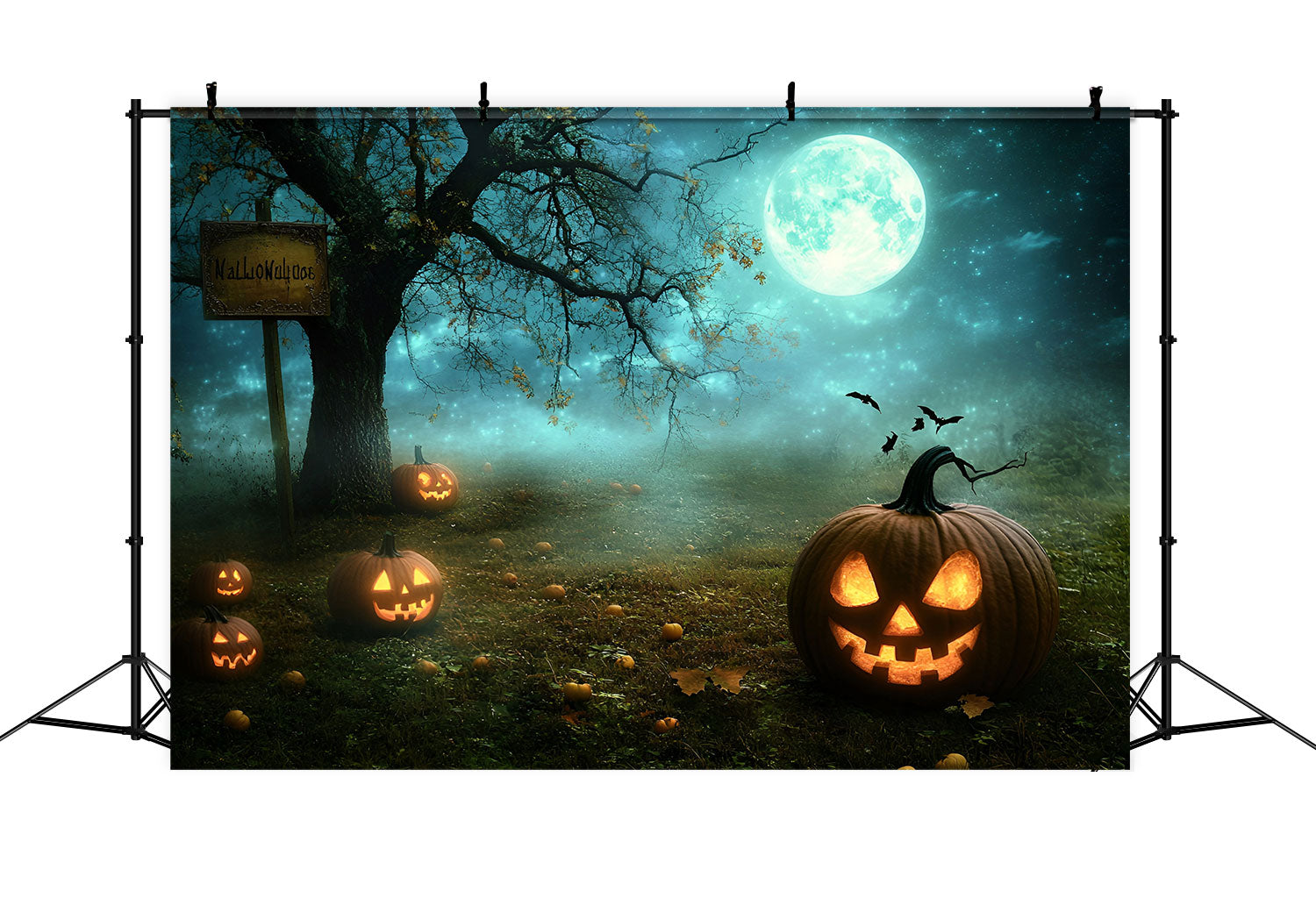 Halloween Fotokulissen Mondlicht Kürbis Hain Hintergrund GQ6-237