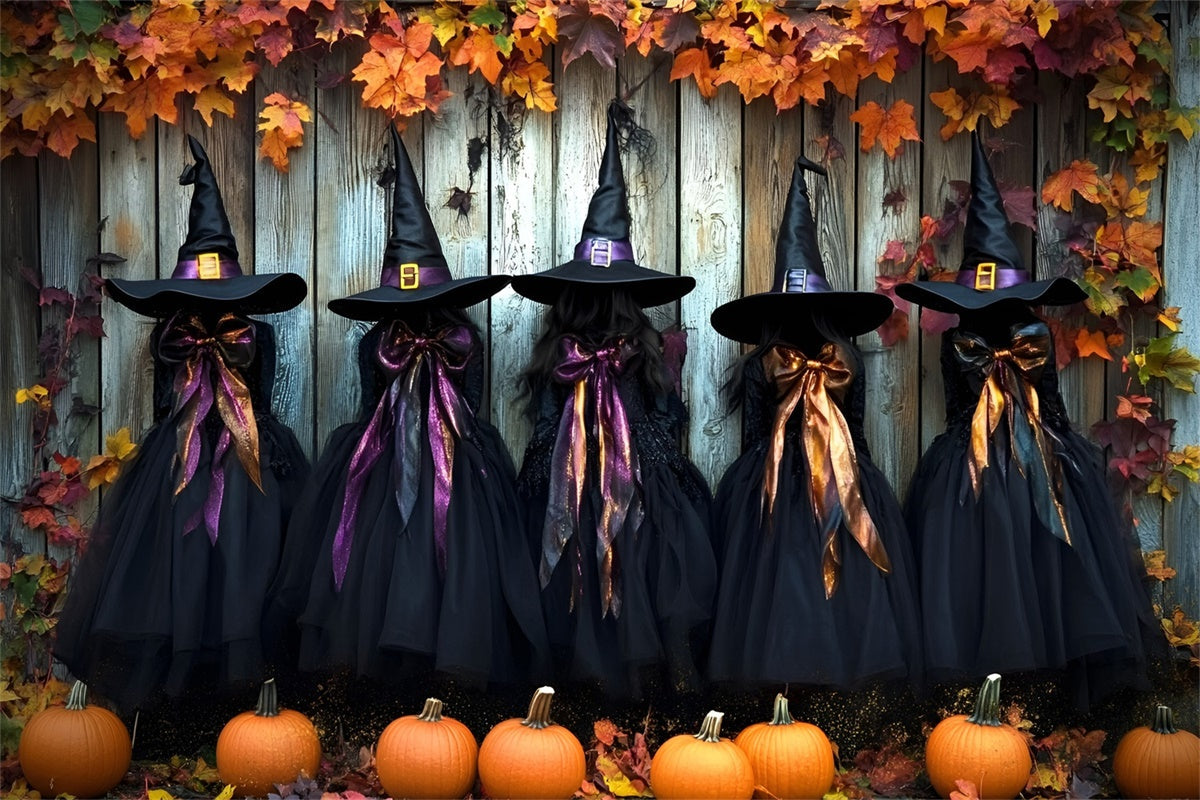 Halloween Hexe Hintergrund Spooky Witch Wardrobe Hintergrund GQ6-251