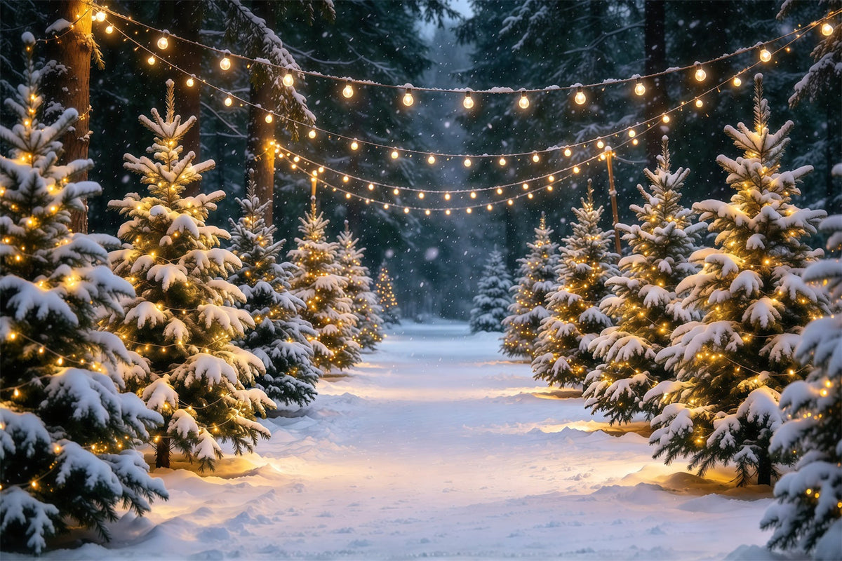 Weihnachtsbaumfarm Hintergrund Verschneiter Kiefernweg Lichterketten GQ610-16
