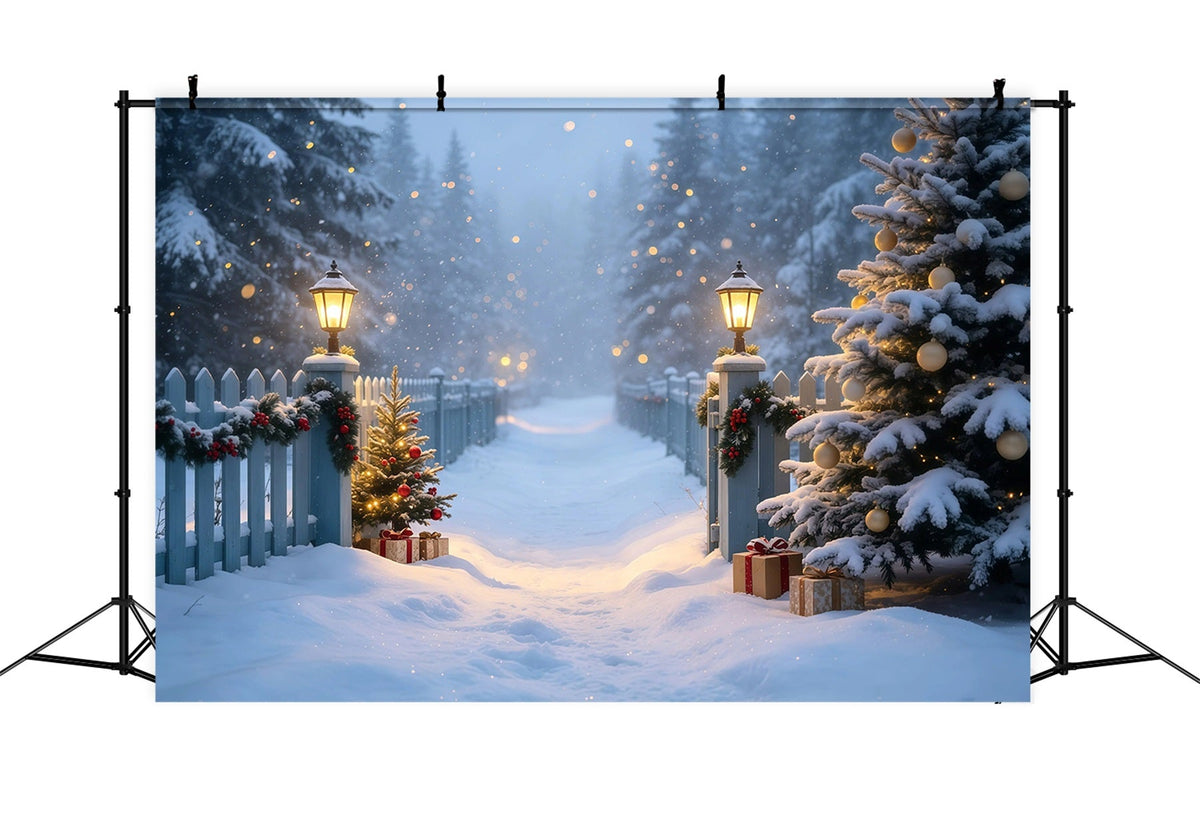 Verschneite Weihnachtskulisse Schneeweg Im Laternengarten Weihnachtsfotohintergrund GQ68-105
