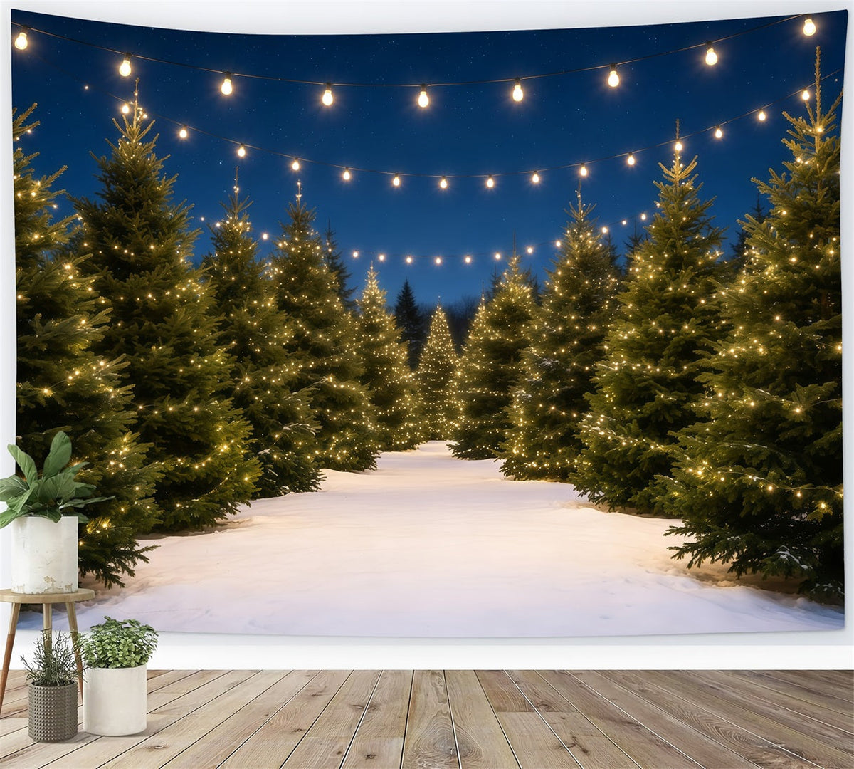 Kulisse Für Eine Weihnachtsbaumfarm Lichtpfad Aus Verschneiten Kiefern Weihnachtskulissen GQ68-132