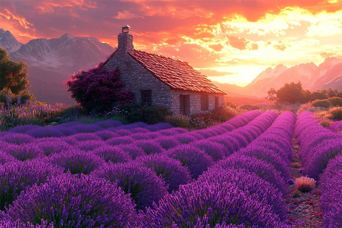 Lila Blumen Backdrop Lavendel Sonnenuntergang Cottage Dream Backdrop GTY3-31