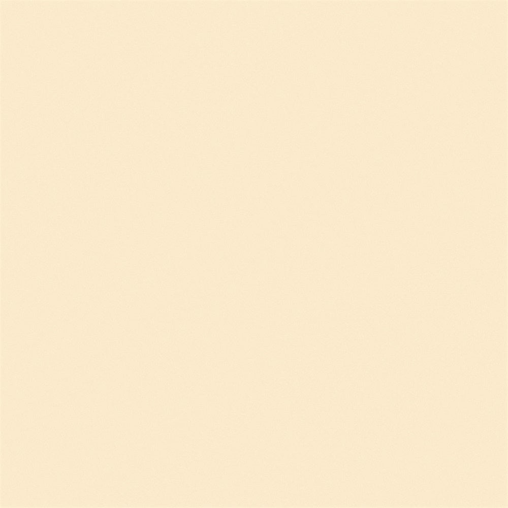Schul-Fotohintergrund Beige Creme Studio-Hintergrund GTY3-332