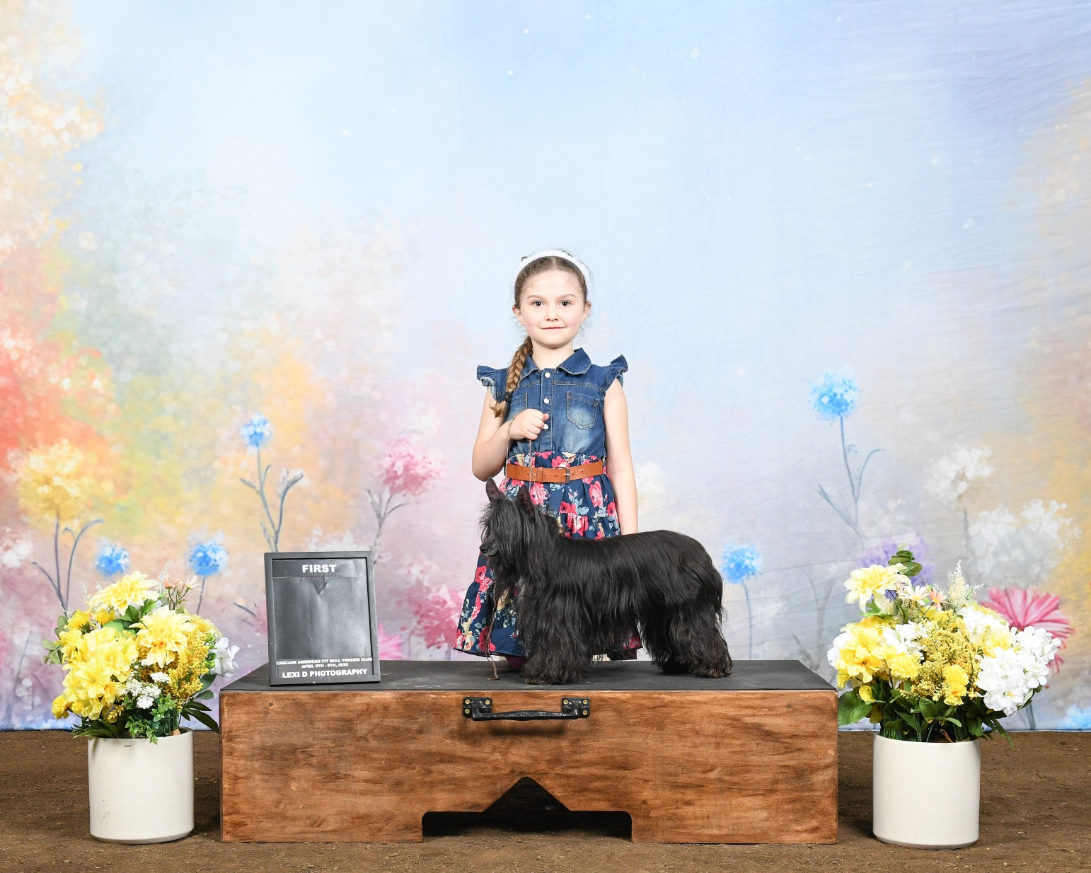 Frühling Backdrops Fotografie Pastell Wildblumen Wiese Backdrop LXX1-149