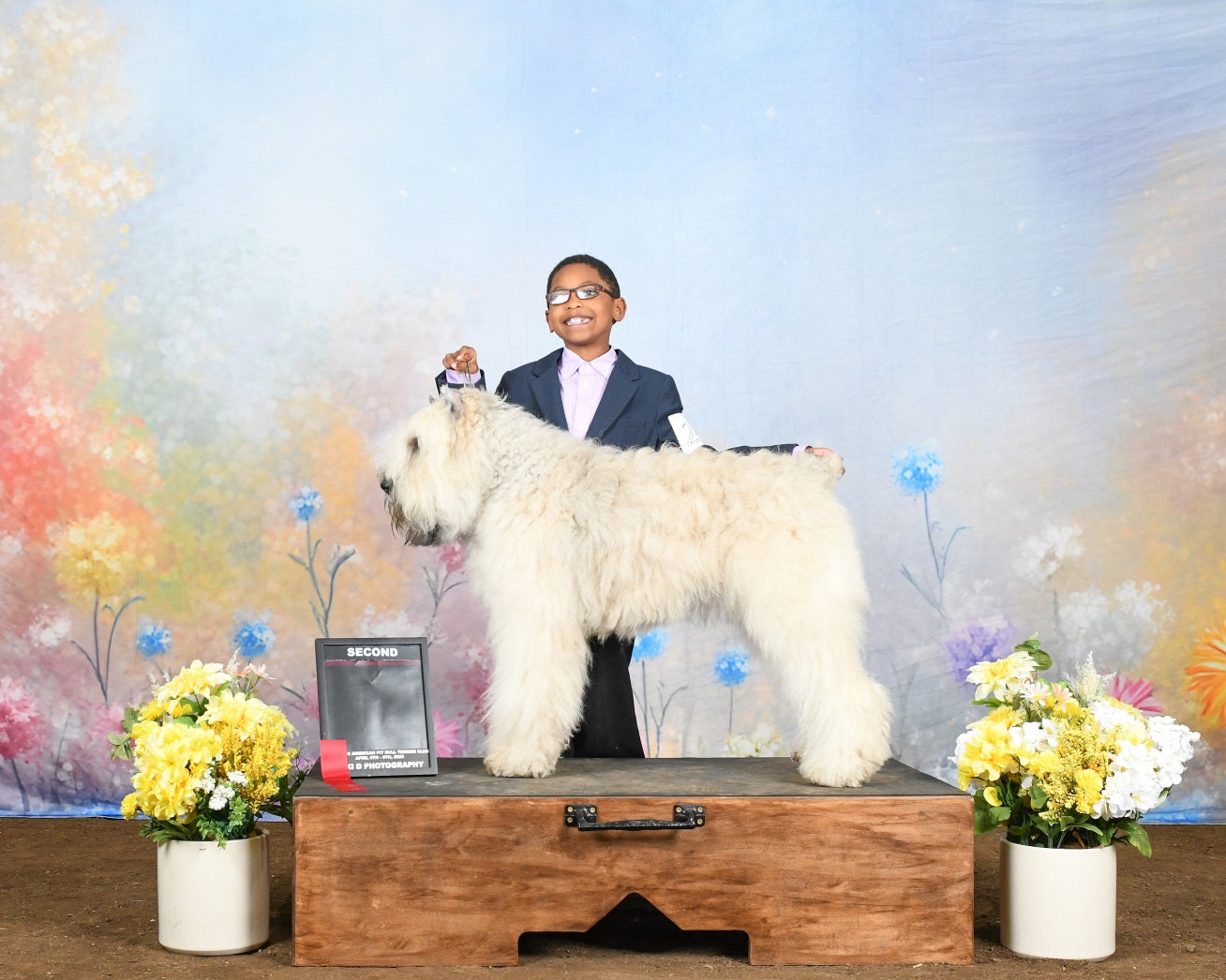 Frühling Backdrops Fotografie Pastell Wildblumen Wiese Backdrop LXX1-149