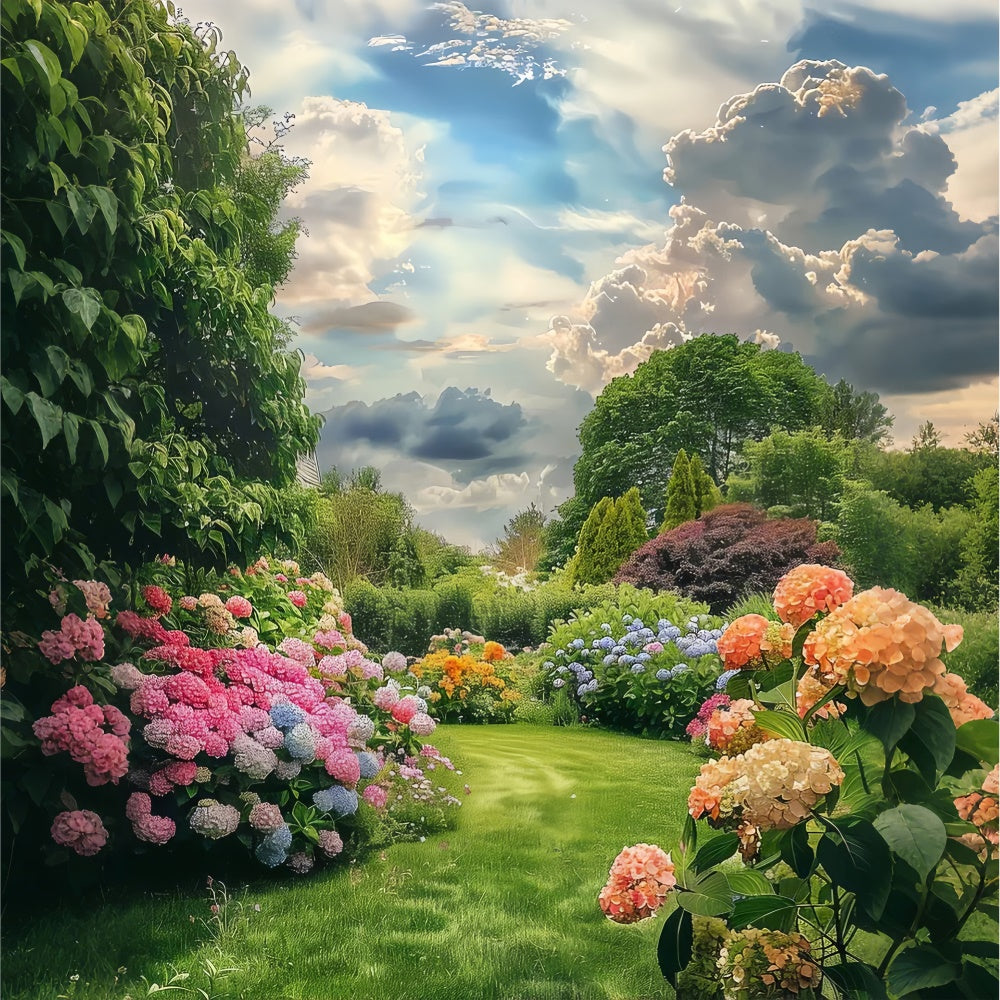 Frühlingshintergrund Ideen Florales Paradies Blauer Himmel Hintergrund LXX2-62