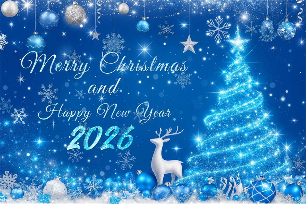 Neujahrshintergründe Verschneite Weihnachtsdekorationen Neujahrshintergrund LXX510-14