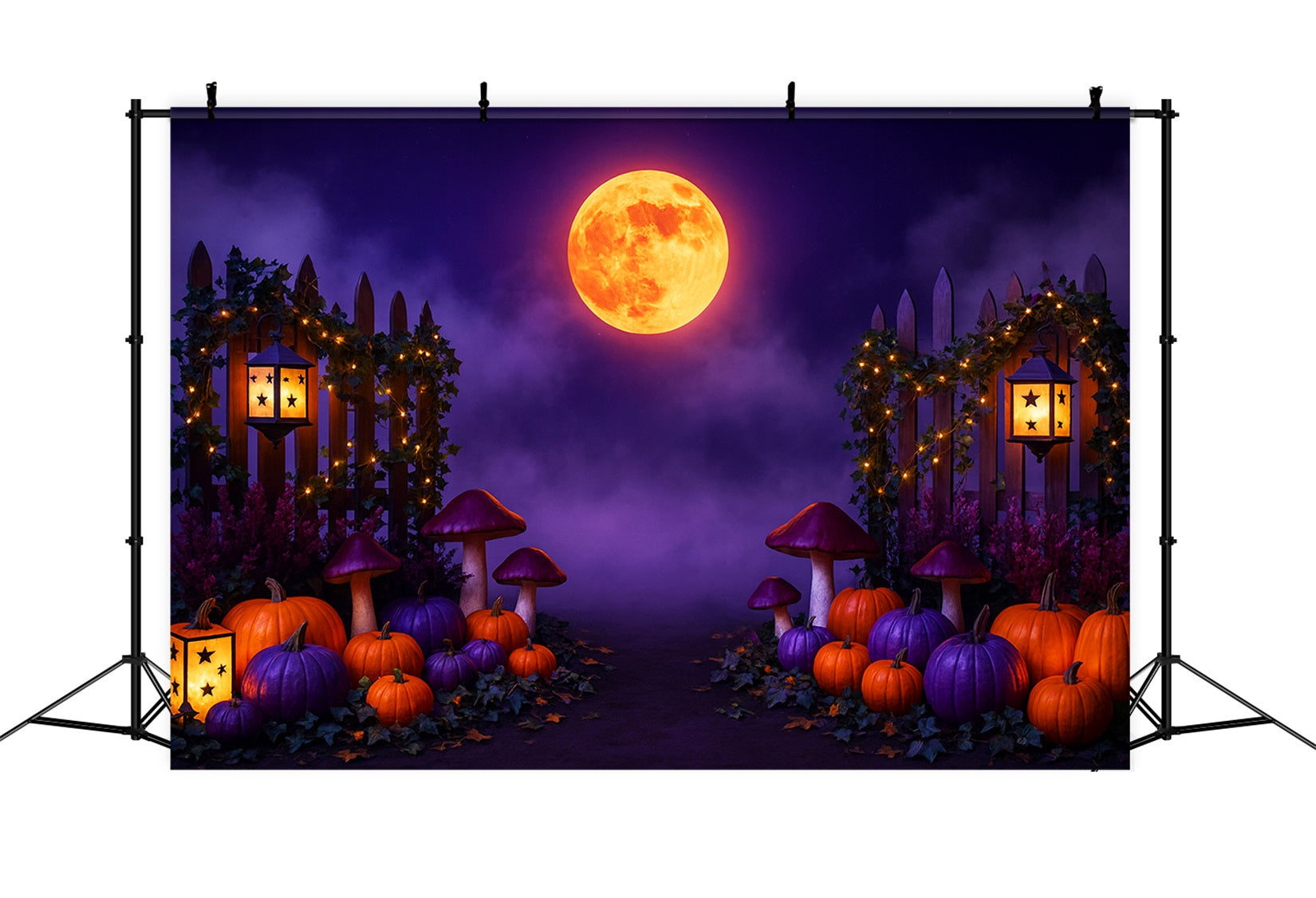 Kürbis-Hintergrund Lila Mond Kürbisweg Thanksgiving-Hintergrund LXX510-30