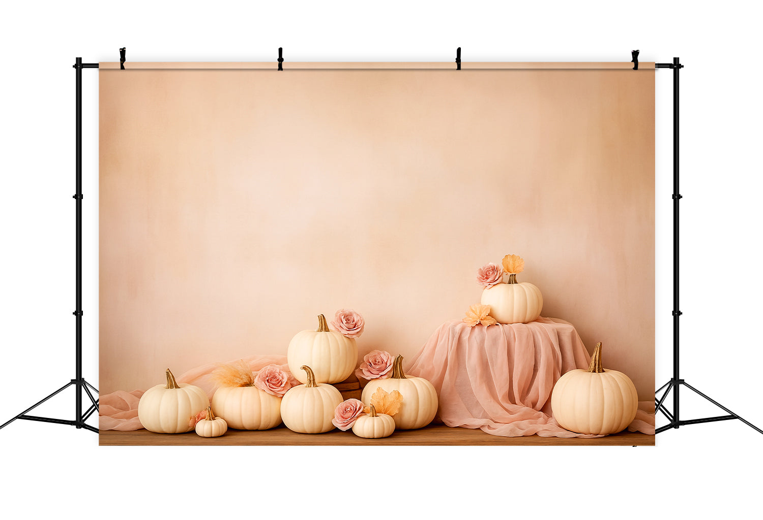 Kürbis-Hintergrund Weiche Kürbisrosen Eleganz Thanksgiving-Hintergründe LXX510-44