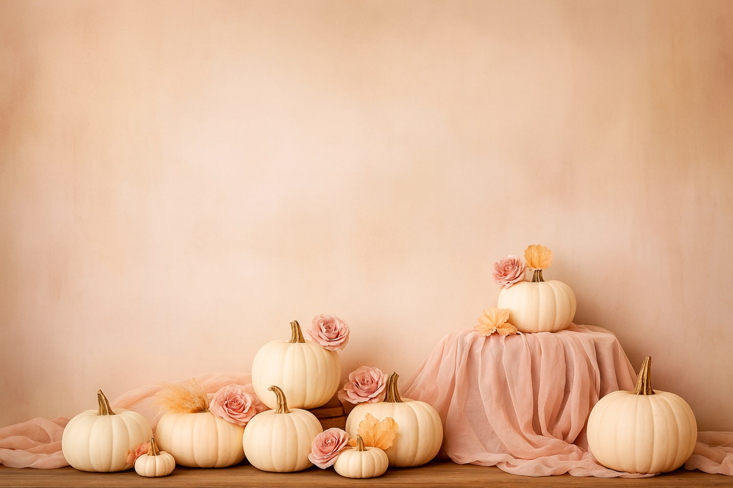 Kürbis-Hintergrund Weiche Kürbisrosen Eleganz Thanksgiving-Hintergründe LXX510-44