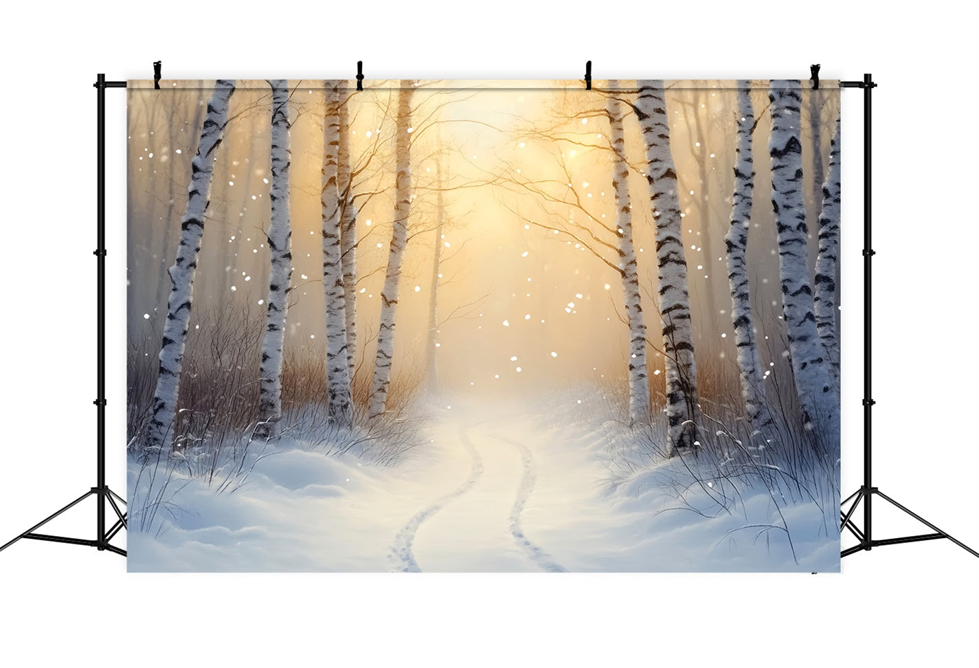 Winterwunderland-Hintergrund Goldene Birke Winterpfad Winterhintergrund LXX510-77