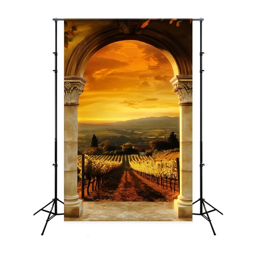 Herbstkulisse Golden Vineyard Archway View Vintage Backdrop LXX58-174