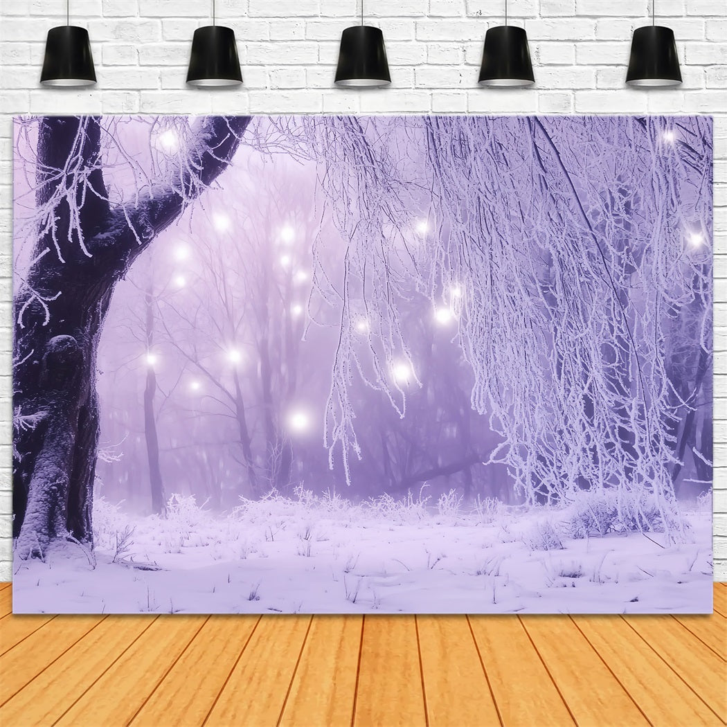 Winter Wonderland Backdrop Enchanted Forest Eisige Lichter Winter Studio Hintergrund LXX58-226