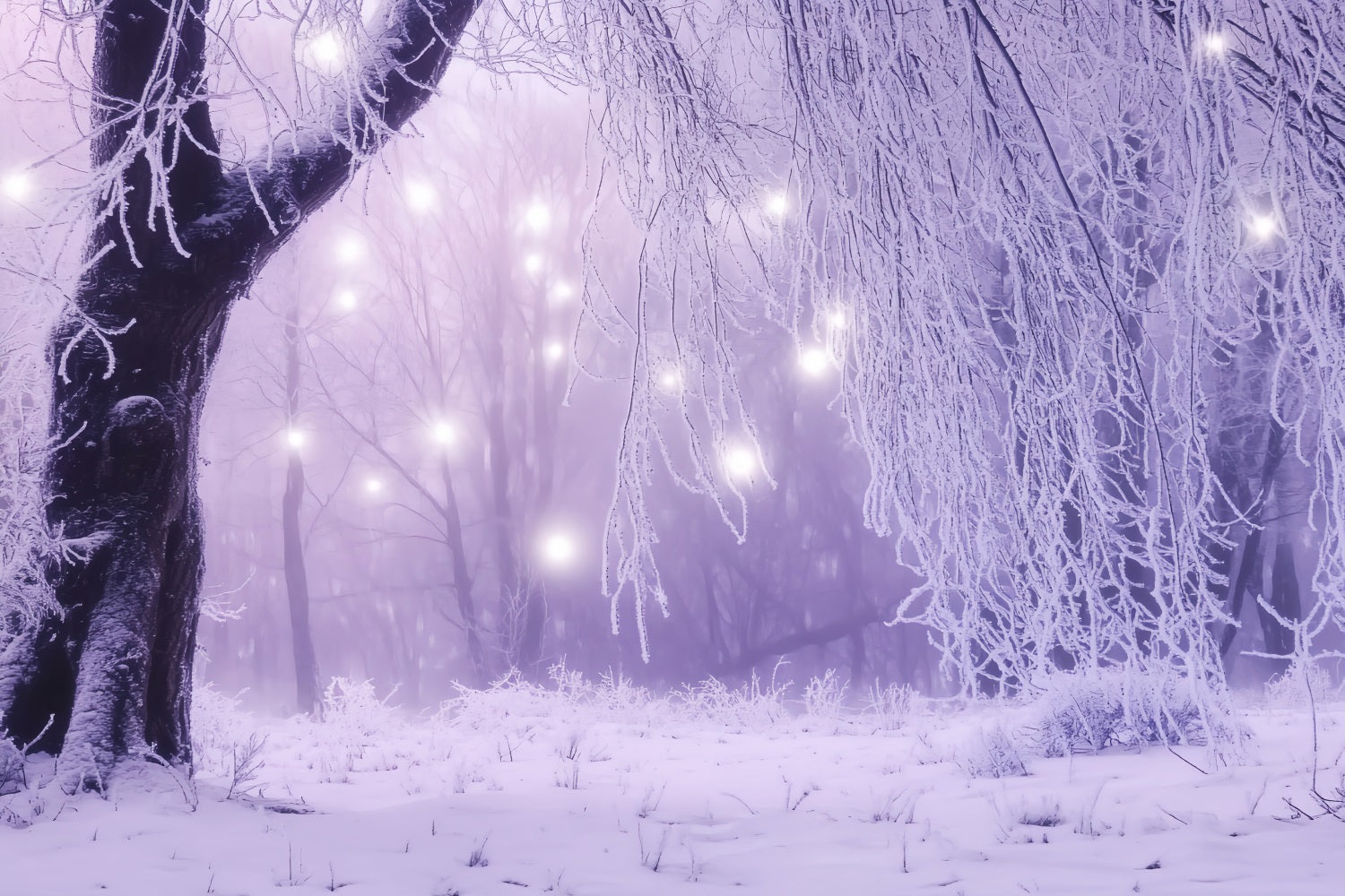 Winter Wonderland Backdrop Enchanted Forest Eisige Lichter Winter Studio Hintergrund LXX58-226