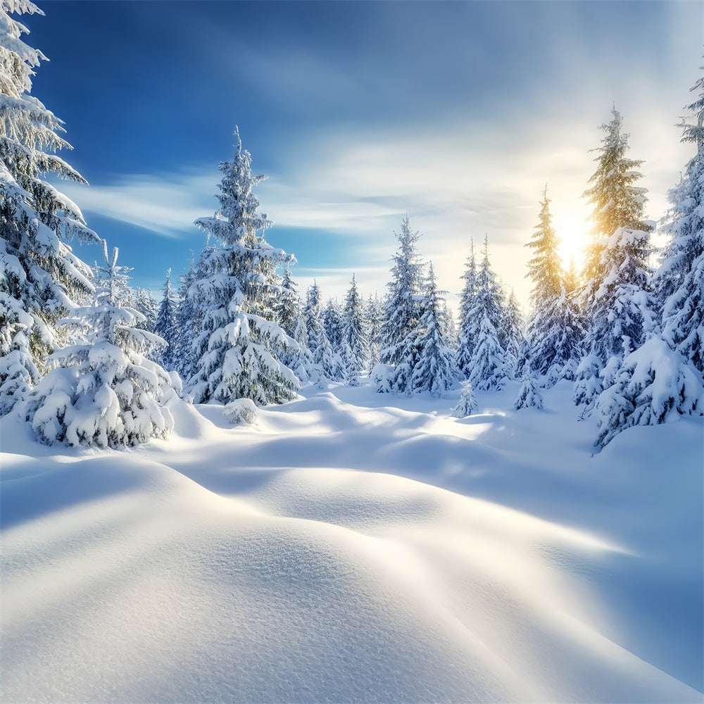 WaldFotohintergrund Goldener Sonnenaufgang Verschneiter Wald Winterwunderland Kulissen LXX58-239