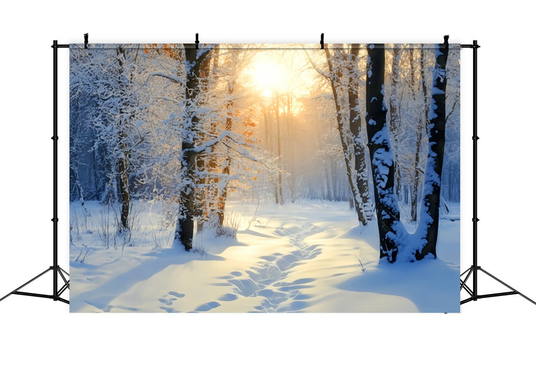 Winterlicher verschneiter Wald Goldener Sonnenaufgang Schneeweg Verschneiter Wald Foto Hintergrund LXX58-278
