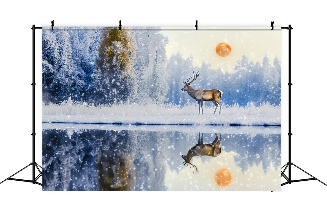 Verzauberter Wald Schneefall Hirsch Sonnenaufgang Reflexion Magischer Wald Foto Hintergrund LXX58-289