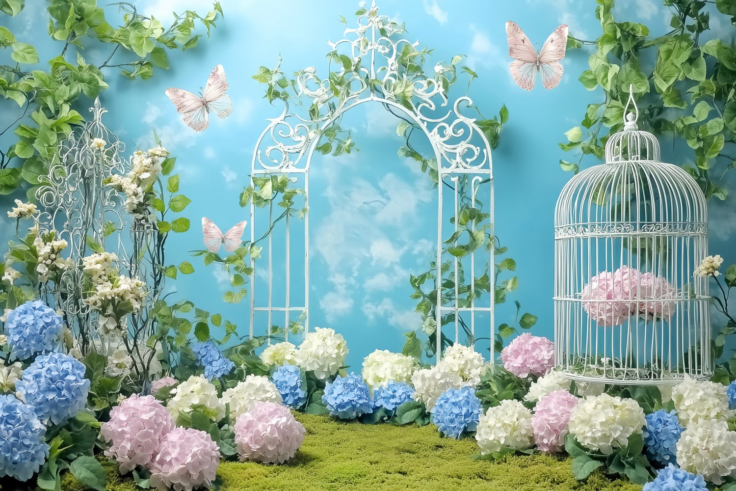 Schmetterling Fotohintergrund Gartentor Schmetterlingsblumen Neugeborenen Fotohintergrund LXX58-381