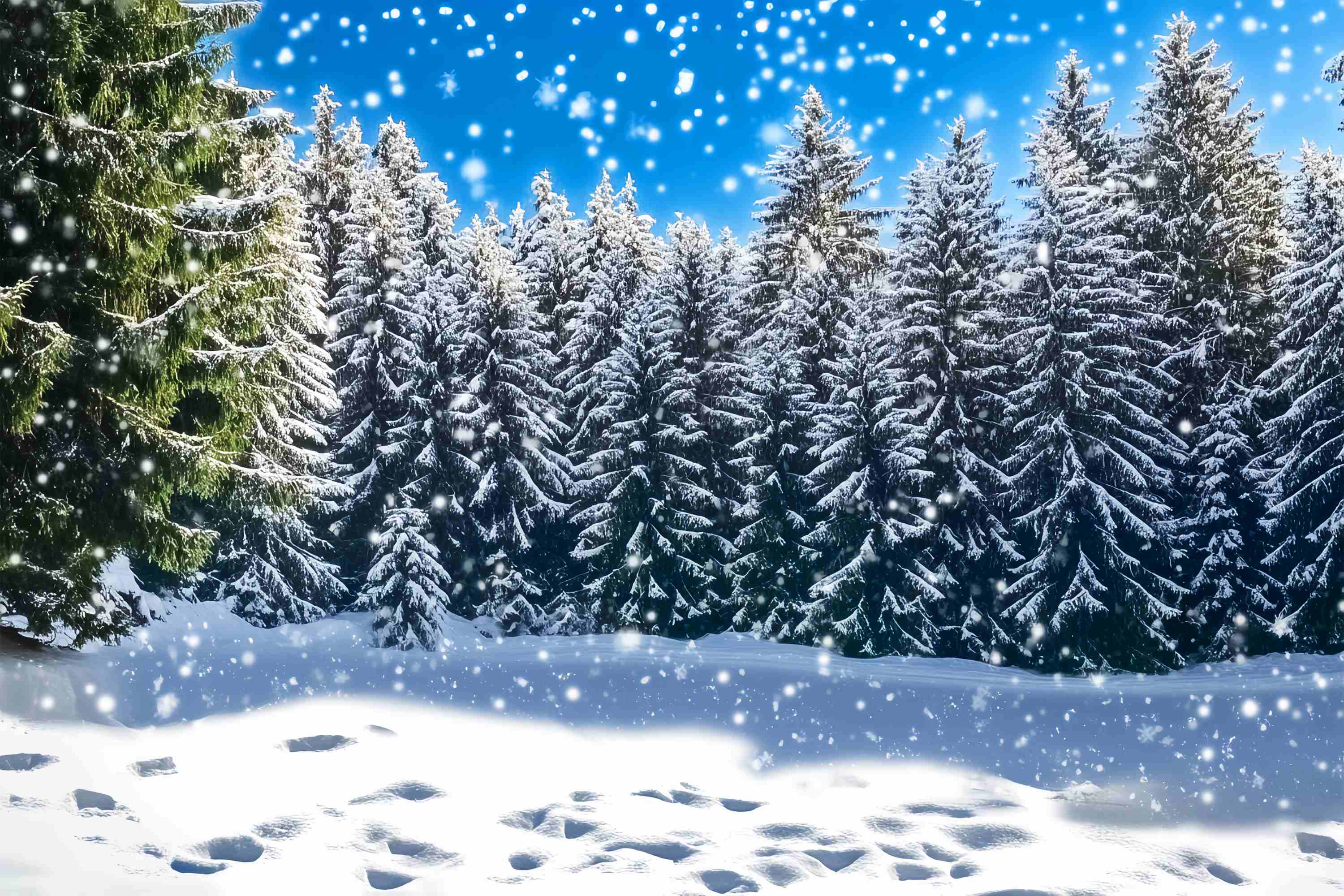 Weihnachtsbaum Bauernhof Foto Hintergrund verschneite Tanne Wald funkelnde Szene Weihnachten Hintergrund LXX58-88