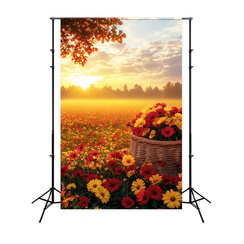 Herbst-Fotohintergrund im Freien Sonnenuntergang über einem Herbstblumenfeld Herbst-Studiohintergründe LXX59-292